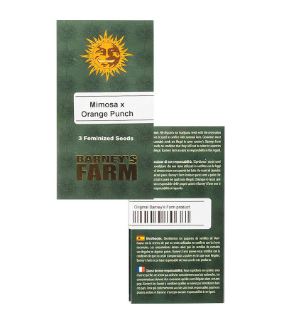 Mimosa X Orange Punch fem (Barney's Farm) семена конопли