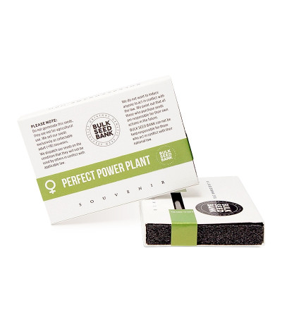 Perfect Power Plant fem семена конопли