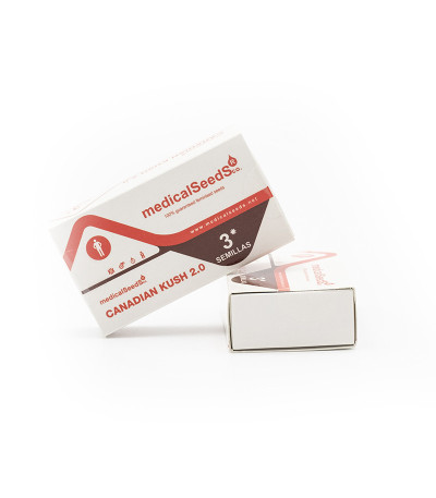 Canadian Kush 2.0 fem семена конопли