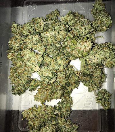 Original Auto Russian fem семена конопли