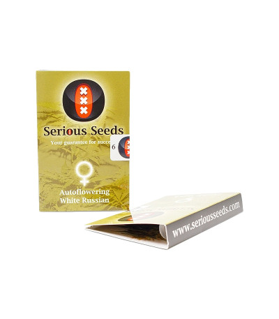Autoflowering White Russian #1 fem (Serious Seeds) семена конопли