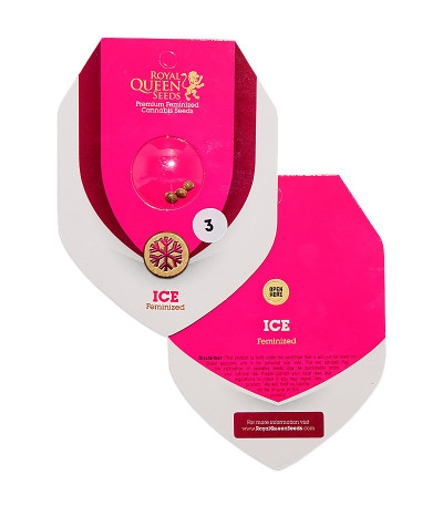 Ice fem (Royal Queen Seeds) fem семена конопли