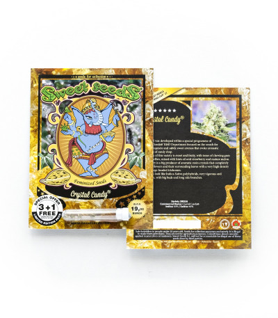 Crystal Candy fem (Sweet Seeds) семена конопли