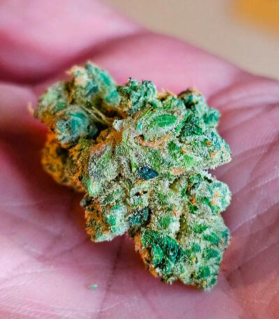 Garlic Cookies fem семена конопли