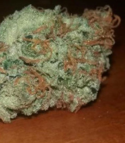 Green Mango Kush fem (Sumo Seeds) семена конопли