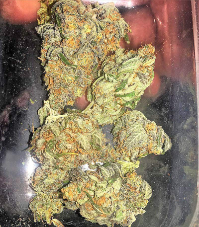 Mataro Blue fem семена конопли