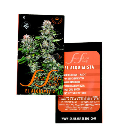 El Alquimista fem (Samsara Seeds) семена конопли