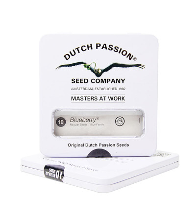 Blueberry reg (Dutch Passion) семена конопли
