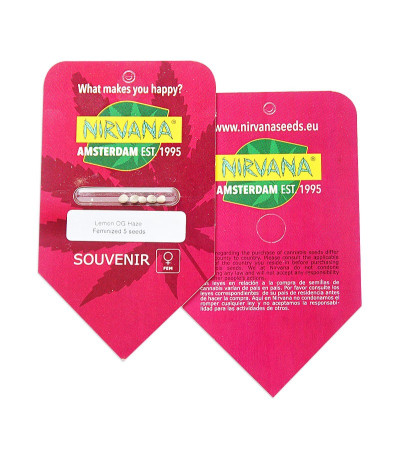 Lemon OG Haze fem (Nirvana Seeds) семена конопли