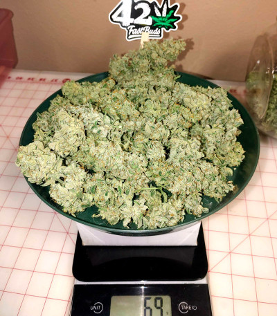 Strawberry Banana Auto fem (FastBuds) семена конопли