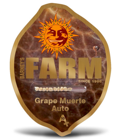 Grape Muerte Auto fem семена конопли