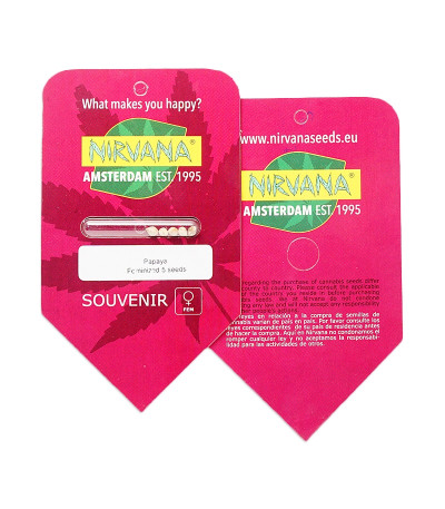 Papaya fem семена конопли
