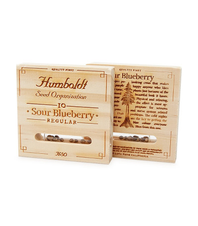 Sour Blueberry reg (Humboldt Seeds) семена конопли