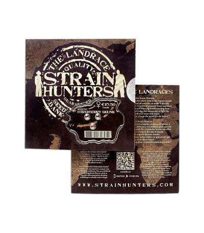 White Strawberry Skunk fem (Strain Hunters) семена конопли