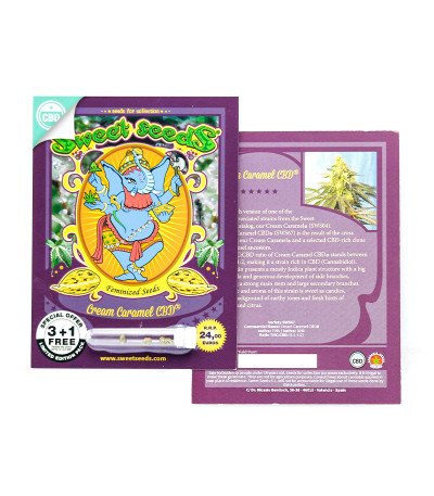 Cream Caramel CBD fem (Sweet Seeds) семена конопли