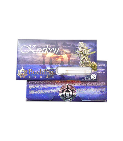 Buddha Kraken fem (Buddha Seeds) семена конопли