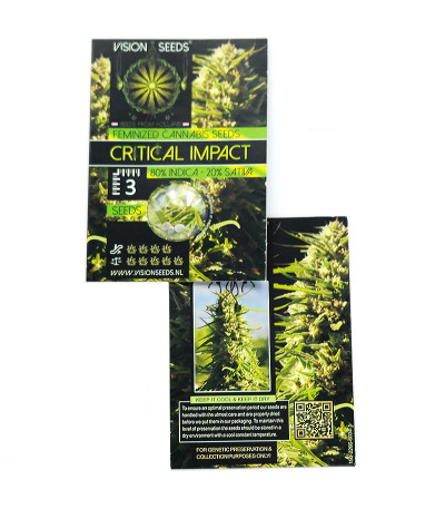 Critical Impact fem (Vision Seeds) семена конопли