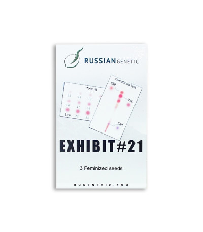 Exhibit #21 auto fem (Russian Genetic) семена конопли
