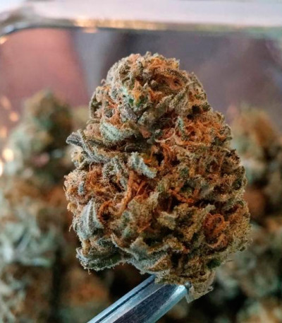 Fruity Chronic Juice fem (Delicious Seeds) семена конопли