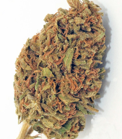 Семена каннабиса Red Cherry Berry