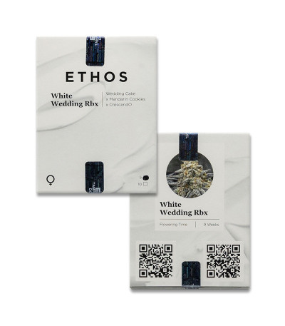 White Wedding RBX fem (Ethos Genetics) семена конопли