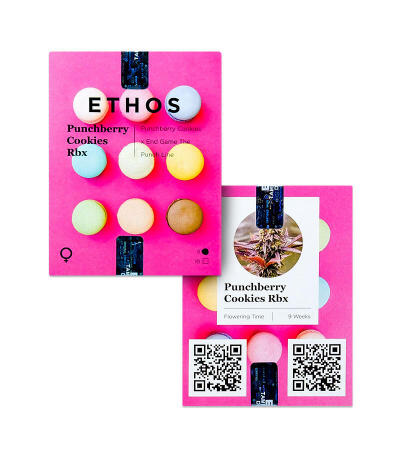 Punchberry Cookies RBX fem (Ethos Genetics) семена конопли