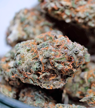 Tangie'matic auto fem семена конопли