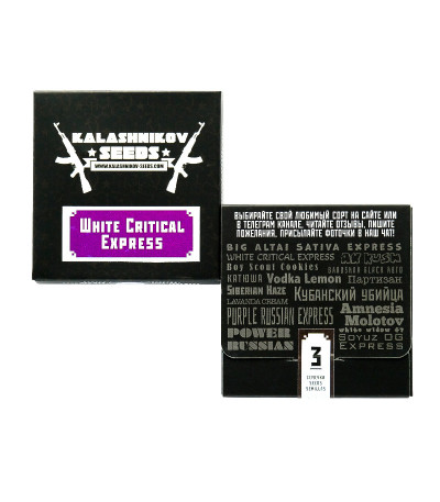 White Critical Express (Kalashnikov Seeds) семена конопли