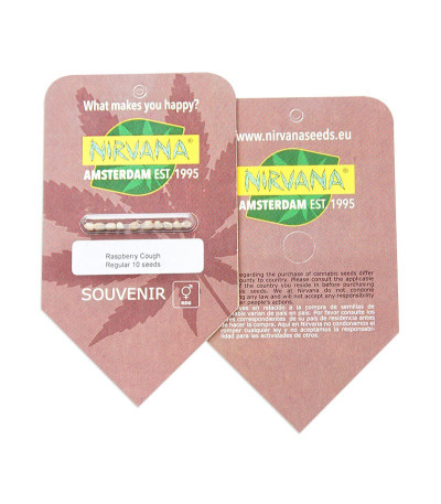 Raspberry Cough reg (Nirvana Seeds) семена конопли