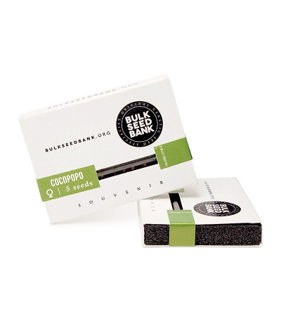 Cocopopo fem семена конопли
