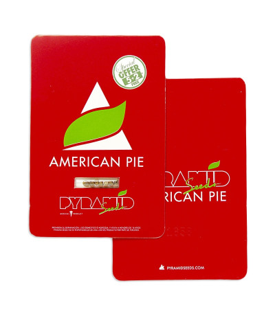 American Pie fem (Pyramid Seeds) семена конопли