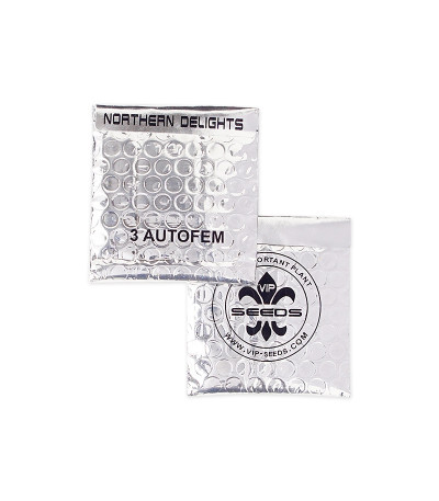 Auto Northern Delights fem (VIP seeds) семена конопли