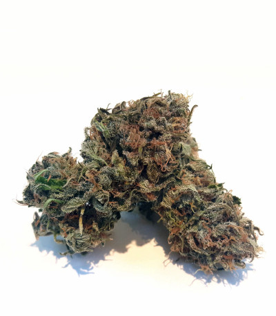 Amnesia Haze (Haze 1) fem (Nirvana Seeds) семена конопли