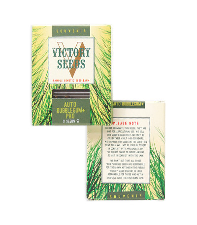 Auto Bubblegum+ Pro fem (Victory Seeds) семена конопли
