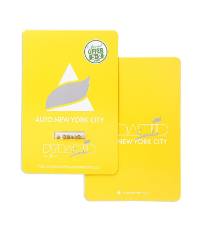 Auto New York City fem (Pyramid Seeds) семена конопли