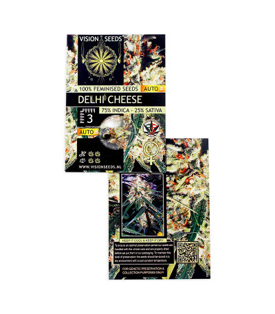 Delhi Cheese Auto Fem (Vision Seeds) семена конопли