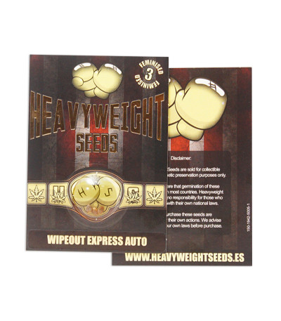 Wipeout Express Auto fem семена конопли
