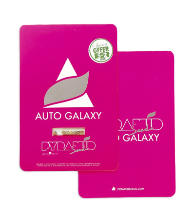 Auto Galaxy fem (Pyramid Seeds) семена конопли