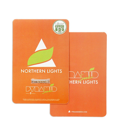 Northern Lights fem (Pyramid Seeds) семена конопли