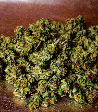 Original Auto Chemdawg fem (FastBuds) семена конопли