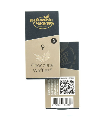 Chocolate Wafflez fem (Paradise Seeds) семена конопли