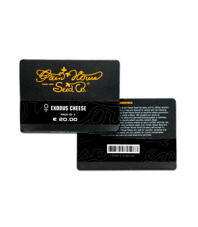 Exodus Cheese fem (Green House Seeds) семена конопли