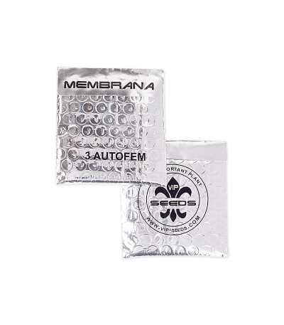Membrana Hiper Auto fem (VIP seeds) семена конопли