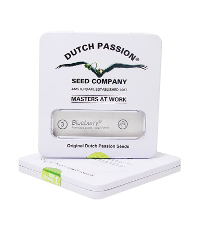 Семена каннабиса Blueberry в оригинальной упаковке