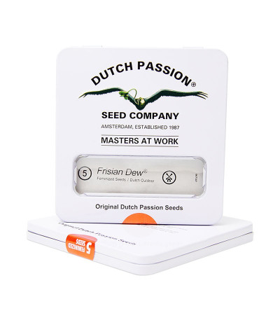 Купить семена каннабиса 5 в упаковке от производителя