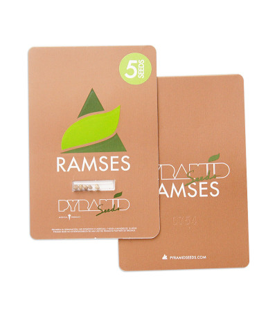 Ramses fem (Pyramid Seeds) семена конопли