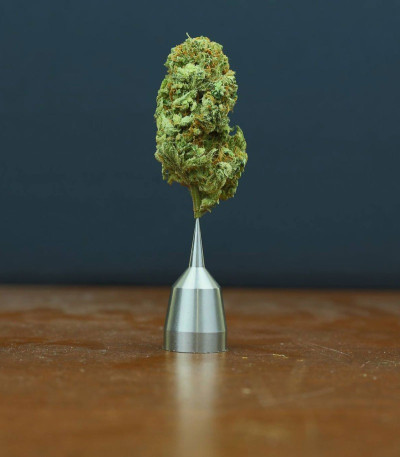 Goji Haze fem (Sumo Seeds) семена конопли