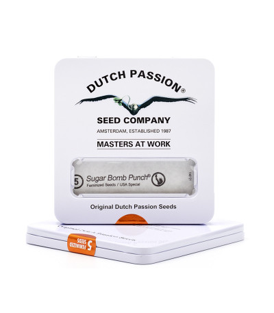Sugar Bomb Punch fem (Dutch Passion) семена конопли