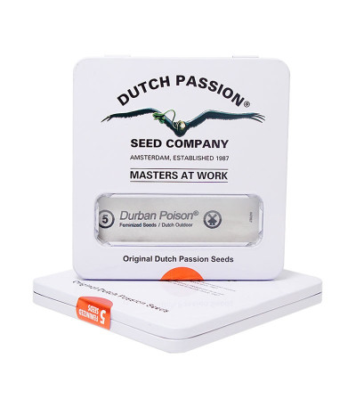 Семена каннабиса Durban Poison в оригинальной упаковке