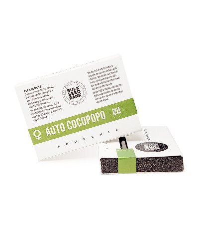 Auto Cocopopo fem семена конопли